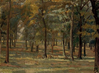 Richmond Park door Spencer Frederick Gore